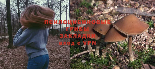 спайс Алексеевка