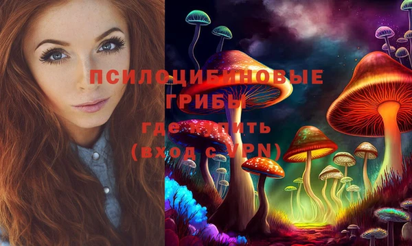 ПСИЛОЦИБИНОВЫЕ ГРИБЫ Абдулино