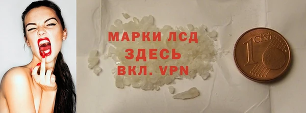 хмурый Алексин