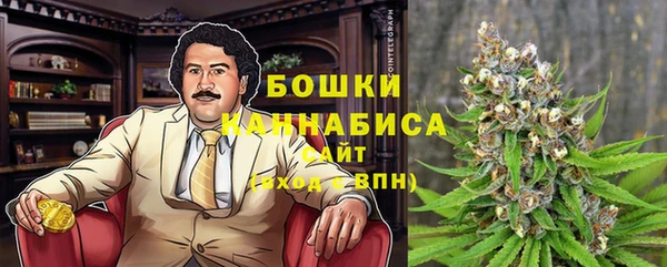 дурь Медвежьегорск