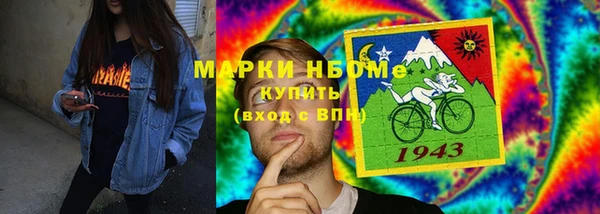 хмурый Алексин