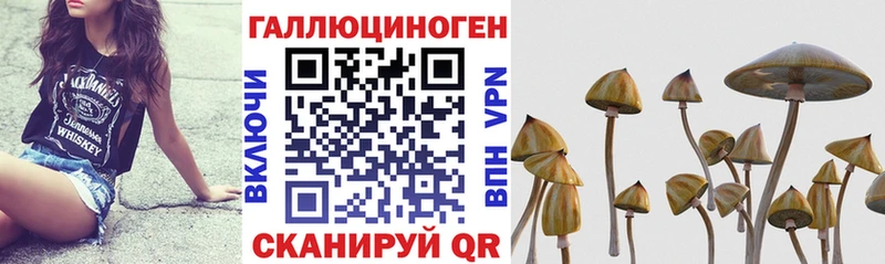 наркота  Отрадный  Псилоцибиновые грибы Magic Shrooms 
